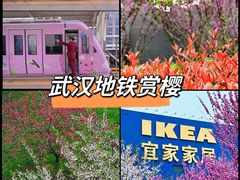 -武汉荟聚