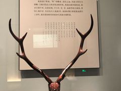 -湖北省博物馆