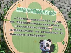 -都江堰中华大熊猫苑