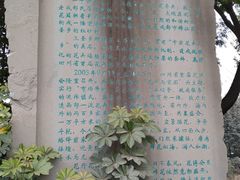 -三圣花乡旅游区