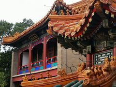 -颐和园