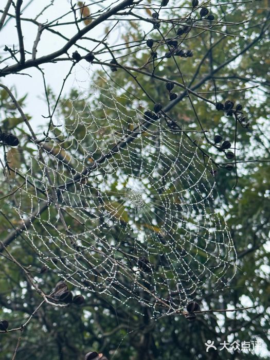 午潮山国家森林公园图片