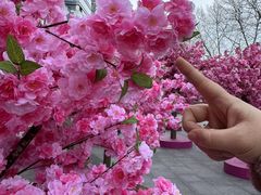 -金茂览秀城