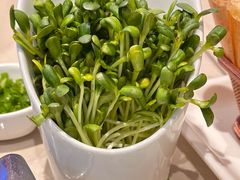 -浩爷羊蝎子火锅(望京店)