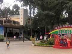 -昆明动物园