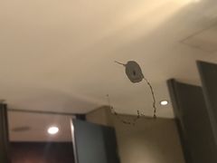 -广州天河希尔顿酒店