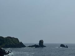 -涉地可支