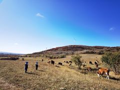 -塞罕坝国家级自然保护区