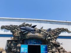 -秦皇岛乐岛海洋王国