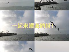 -大连海昌东方水城