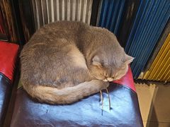 -韩明洞韩国餐厅
