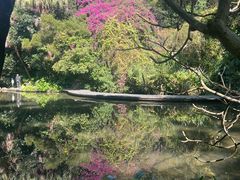 -燕晗山郊野公园