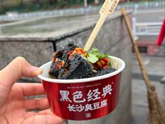 -黑色经典臭豆腐·湖南特产(坡子街店)