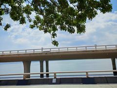 -演武大桥观景平台