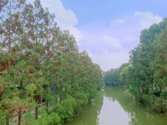 -东涌水乡风情街