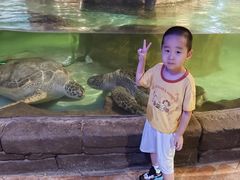 -萌宠奇缘(荣鼎店)