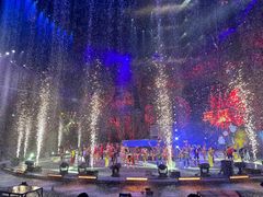 -广州长隆国际大马戏