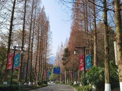 -青城山