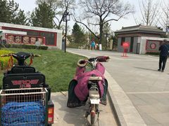 -西海子公园