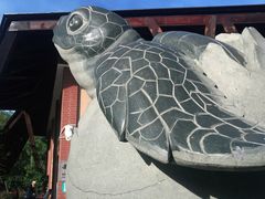 -广东惠东海龟国家级自然保护区