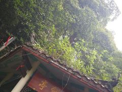 -綦江古剑山