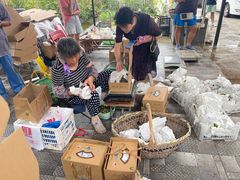 -美家乐农庄·露营·团建(大治路店)