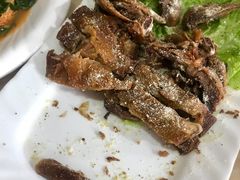 -天羽烤乳鸽店(财大家属院店)