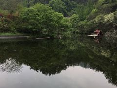 -武当山风景区