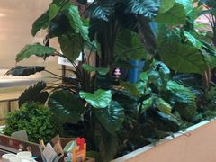 -悦海·家宴·冰花皮皮虾大锅贴(宝龙店)