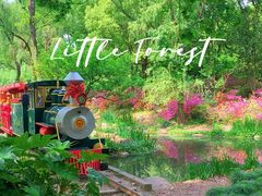 -上海共青森林公园