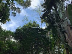 -呀诺达热带雨林