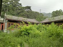 -阳台山自然风景区