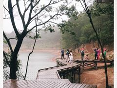 -南京市无想山景区