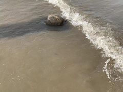 -呼兰河口湿地公园