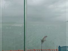 -七鲜渔港美食餐厅(巽寮湾海景店)
