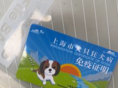 -申普宠物医院·心脏介入·心血管微创(总院)