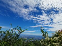 -阳台山自然风景区