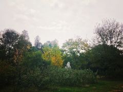 -东湖落雁景区