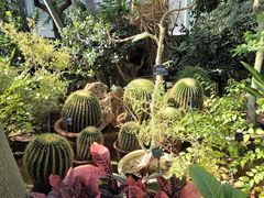 -国家植物园南园