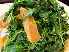 河蚌金花菜-松鹤楼(山塘街店)