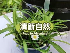 -后湖小院·乡野田园菜