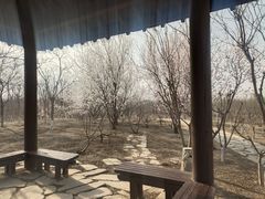 -西青郊野公园