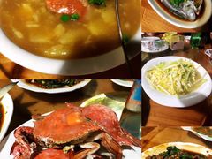 -大树下饭店(春晓镇慈岙社区卫生服务站南)