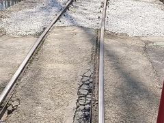 -合肥滨湖国家森林公园