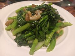 -老广酒楼(樱花店)