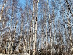 -长春市南湖公园