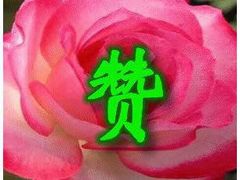 -八婆婆烧仙草(曾厝垵店)