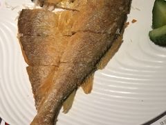 -蝴蝶汇音乐酒馆(罗湖店)