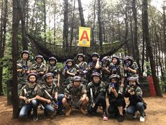 -铁山坪森林公园