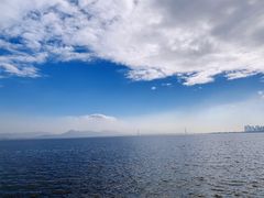 -深圳湾公园(南山区)